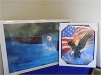 2 America/ Bald Eagle Pictures