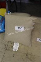 2- outdoor pillows