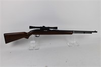 Winchester model 25 .22L semi