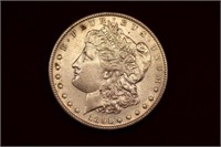Morgan Silver Dollar 1891S
