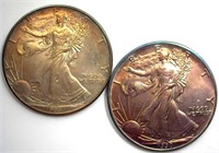 1990 1993 Silver Eagle Terrific Toning