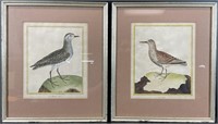 2 Antique Hand Colored Bird Etchings