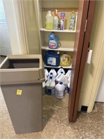 Closet of Cleaning Supplies - Bleach, Laundry