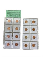 16 Assorted Lincoln Pennies