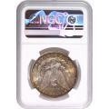Morgan Silver Dollar 1886 MS64 NGC Toning