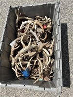 Tote Of Antlers