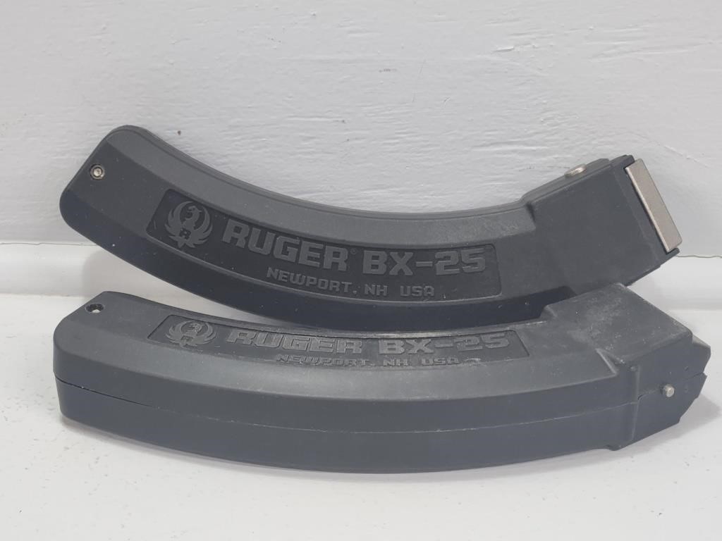 Ruger BX-25 Magazines(2)