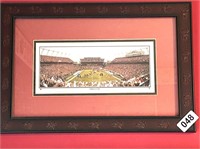 FRAMED GAMECOCK USC STADIUM