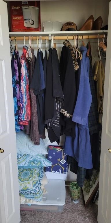 Bedroom Closet Contents, Including, Pillows,