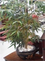 Silk tree with oriental pot