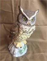 Porcelain Owl by Andrea
