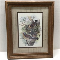 Wooden Framed Matted Picture of Birds 16.5" X13.5"