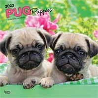 Pug Puppies 2023 Wall Calendar