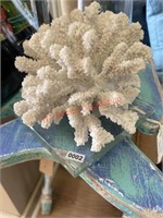 Large Faux Coral on Glass Plate