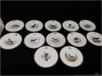 Set of Wedgwood American sporting dog plates