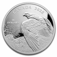 2023 Rcm 2 Oz Silver $30 Vantage Point Bald Eagle