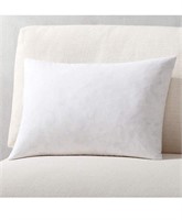 Throw Pillow Insert (Pack of 1, White) - 18 x 26