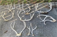 Large Lot of Deer Antlers