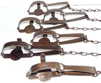 13 ANTIQUE ANIMAL STEEL TRAPS