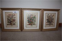 Set of 3 Matted and Framed Floral Prints
