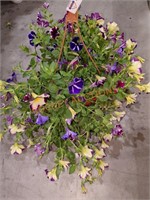 Flowers Medium Hanging Basket