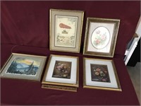 5 Framed Pictures/Wall Art