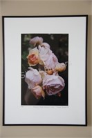 Brenda Becker, Monet's Roses Reflect Life