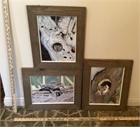 3 pieces of wildlife art