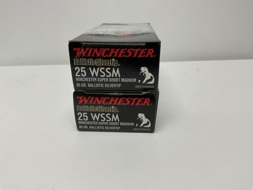 2 Boxes of Winchester 25 WSSM Ballistic SilverTip