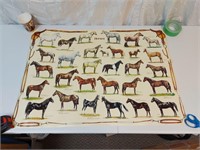 Horse Breeds Poster Vintage? 38.5" x 27"