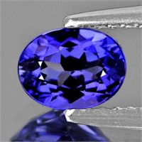 Natural AAA Purple Blue Tanzanite 1.06 Ct - FL