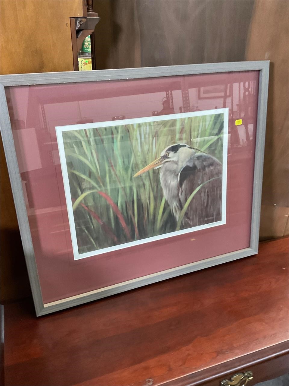 Framed Bird Print