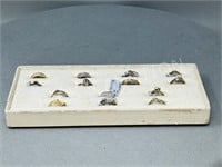 14 Ster-Bermark rings in tray