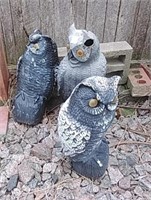 Outdoor Owls