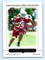 RC Darryl Blackstock Arizona Cardinals