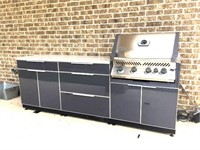 Napolean Outdoor Kitchen