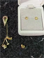 14K earrings, sorority pin with guards