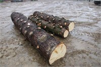 Blue Spruce Logs, Approx 7Ft-10Ft