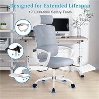 Mesh Ergonomic Office Chair With Footrest, Home Of