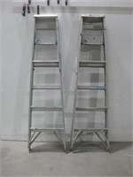 Two 68" Ladders