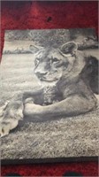 70s Ernest Reshovsky Tiger Poster approx 30x40