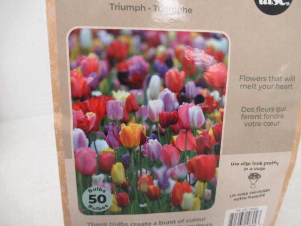 50-Pc Tasc Tulipa Triumph Assorted Bukbs