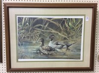 Framed-Signed & Numbered Duck Print by
