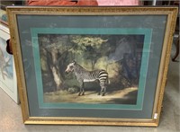 Framed Art, Zebra
