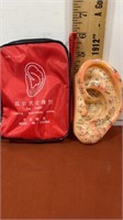 Ear model in bag made in China