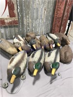 Set of 11 plastic duck decoys