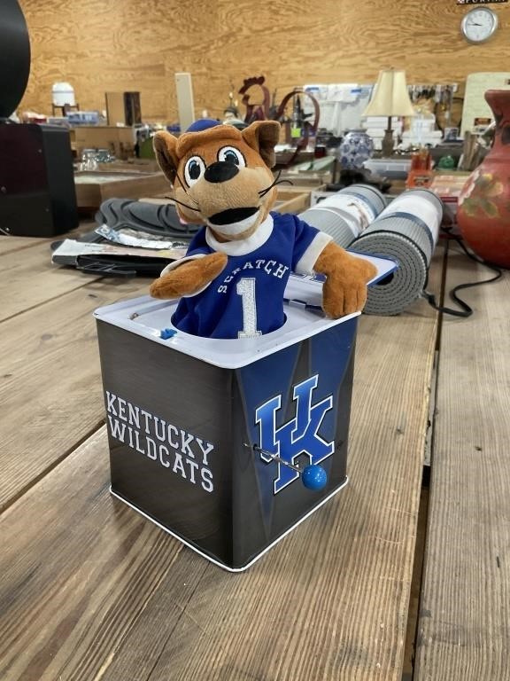 University of Kentucky Wildcat In The Box