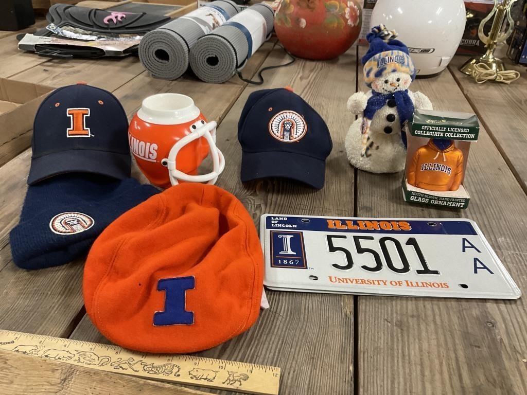 University of Illinois Chief Illiniwek Collection