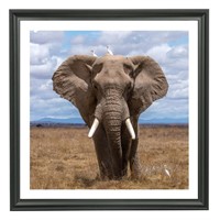 22x22 Picture Frame Solid Wood Displays Picture