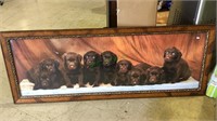 Framed print of 9 lab puppies, chocolate Labrador